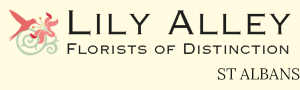 Lily Alley Ltd