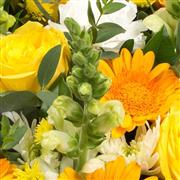 Florist Choice Basket Vibrant