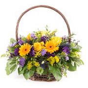 Viola Basket 