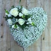 Gyp Heart