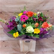 Best Spring Handtied