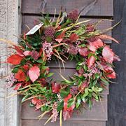 Saffron Door Wreath