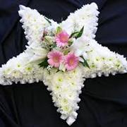Star Tribute