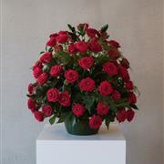 Red Rose Arrangement