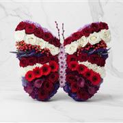 Butterfly Reds