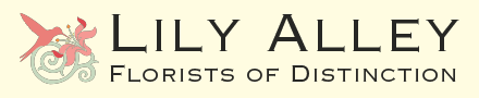 Lily Alley Ltd